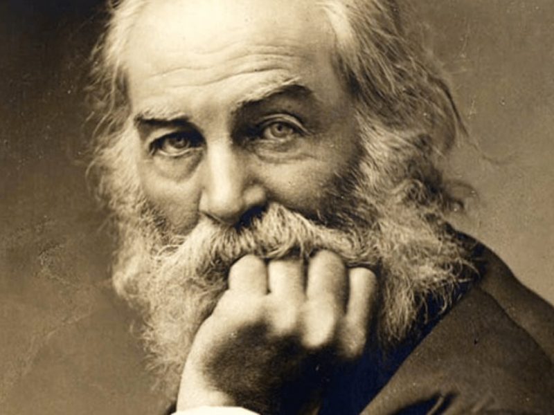 A expressão nos poemas de Walt Whitman